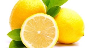 أضرار الليمون للحامل