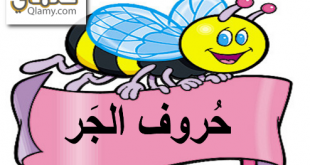 حروف الجر في اللغة العربية للصف الثاني