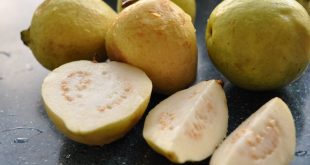 فوائد بذور الجوافة