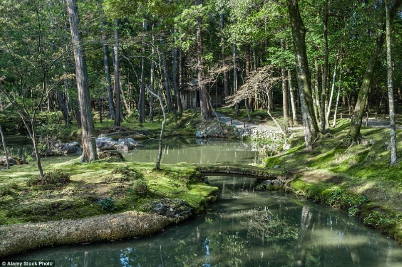 اجمل الحدائق في العالم- حديقة سيهو جي في اليابان