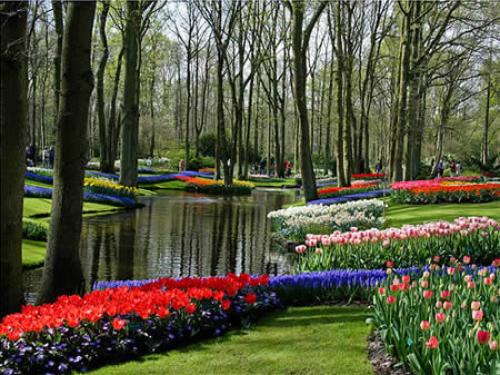 اجمل الحدائق في العالم- حديقة كيوكينهوف