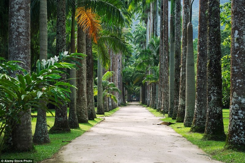 حديقة بوتانيكو، ريو دي جانيرو، البرازيل