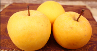 فوائد التفاح الاصفر