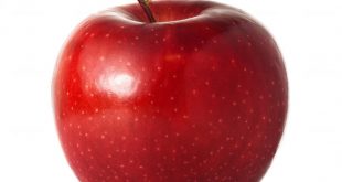 فوائد التفاح للرجيم