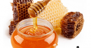 خلطة العسل لتقوية المناعة