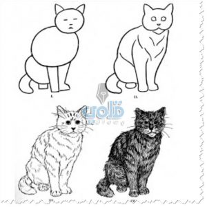 طريقة رسم قطة