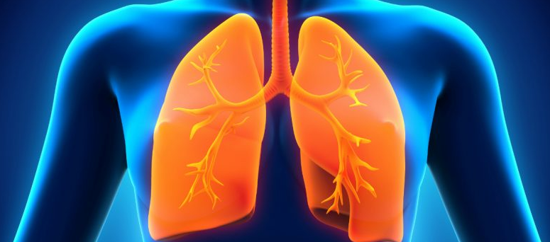 بحث حول وقاية الجهاز التنفسي