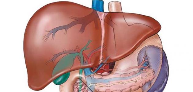 كيفية علاج الالتهاب الكبدي